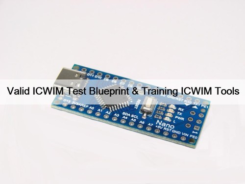 Valid ICWIM Test Blueprint & Training ICWIM Tools
